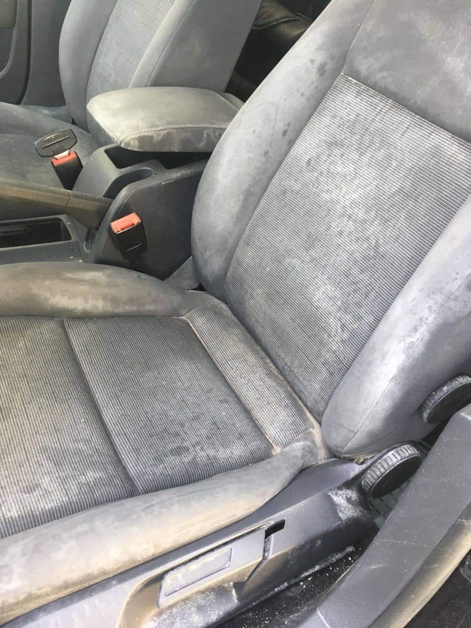 mold on the seats