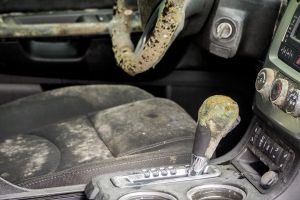 How To Clean Mold Out Of a Car: Beginner’s Guide